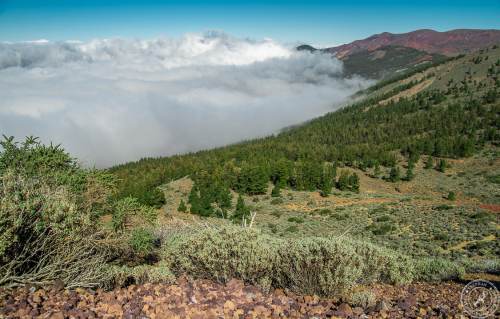 Zwischen Pico del Teide und dem Orotava Tal