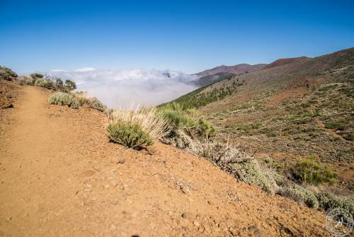 Zwischen Pico del Teide und dem Orotava Tal