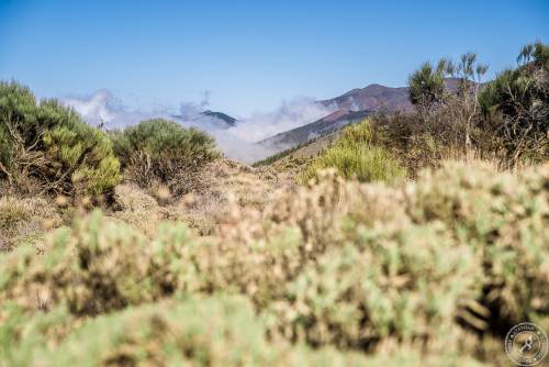 Zwischen Pico del Teide und dem Orotava Tal