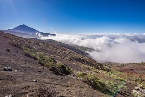 Zwischen Pico del Teide und dem Orotava Tal