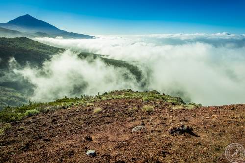 Zwischen Pico del Teide und dem Orotava Tal