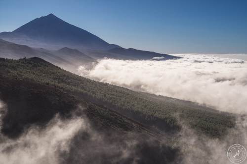 Zwischen Pico del Teide und dem Orotava Tal