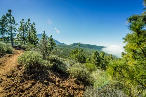 Zwischen Pico del Teide und dem Orotava Tal