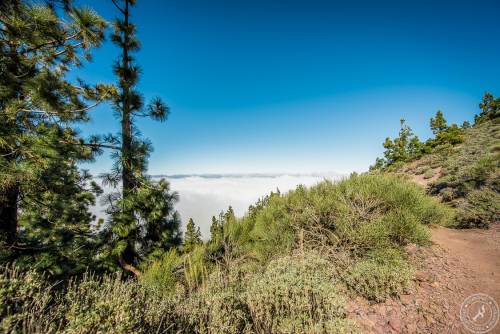 Zwischen Pico del Teide und dem Orotava Tal