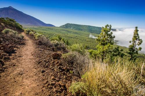 Zwischen Pico del Teide und dem Orotava Tal