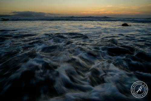 Fuerteventura_Playas_Negras-27