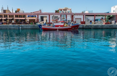 Puerto de Mogan (4)