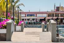Puerto de Mogan (19)