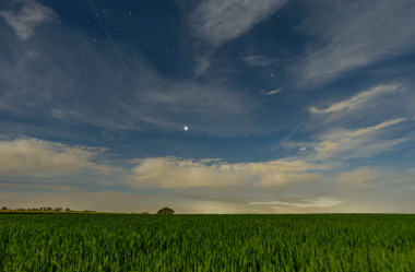 Rapsfelder bei Nacht