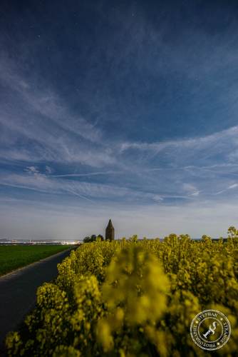 Rapsfelder bei Nacht