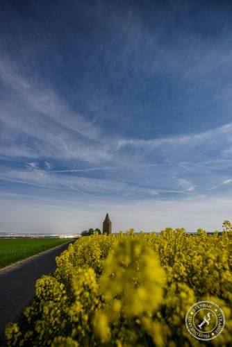 Rapsfelder bei Nacht