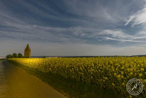 Rapsfelder bei Nacht