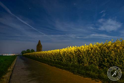 Rapsfelder bei Nacht