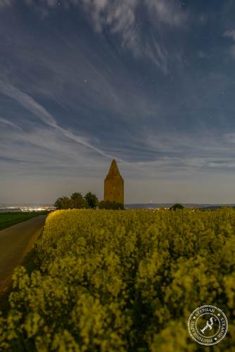 Rapsfelder bei Nacht