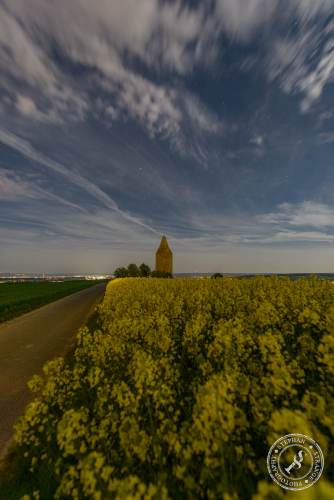 Rapsfelder bei Nacht