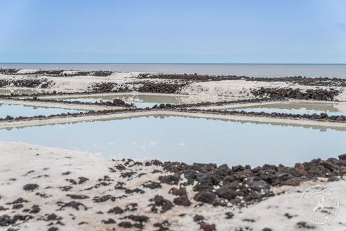 Salinas de Fuencaliente