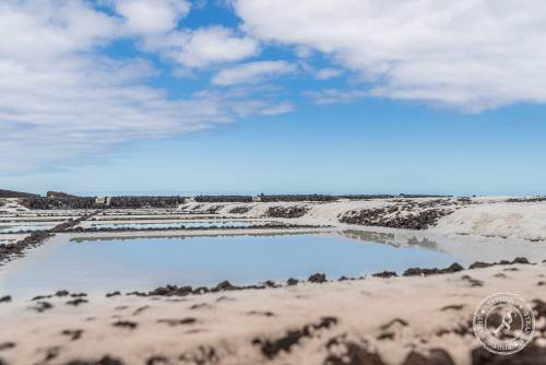 Salinas de Fuencaliente