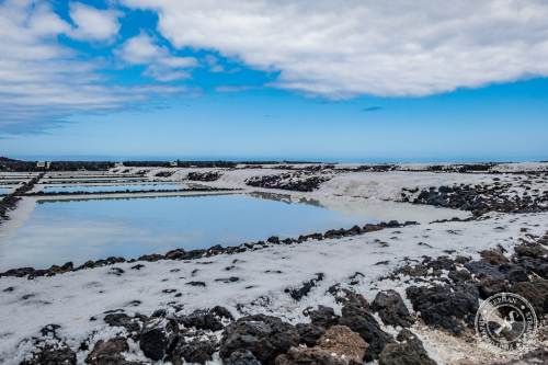 Salinas de Fuencaliente