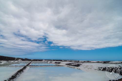 Salinas de Fuencaliente