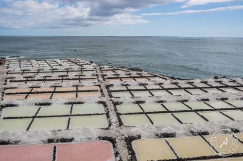 Salinas de Fuencaliente