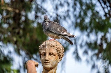 Die San Anton Gardens auf Malta