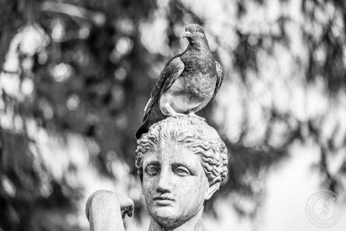 Die San Anton Gardens auf Malta