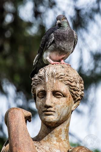 Die San Anton Gardens auf Malta
