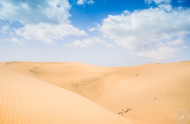 Sand and Sky - The Dunes of Maspalomas (15)