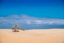 Sand and Sky - The Dunes of Maspalomas (1)
