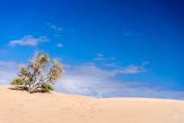 Sand and Sky - The Dunes of Maspalomas (3)
