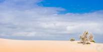 Sand and Sky - The Dunes of Maspalomas (4)