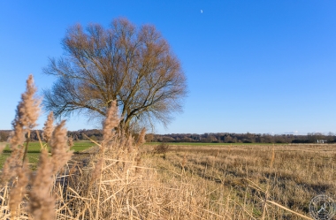 Ein sonniger Wintertag im Januar