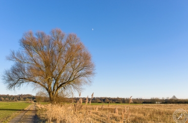 Ein sonniger Wintertag im Januar