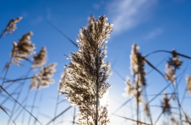 Ein sonniger Wintertag im Januar