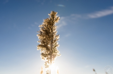 Ein sonniger Wintertag im Januar