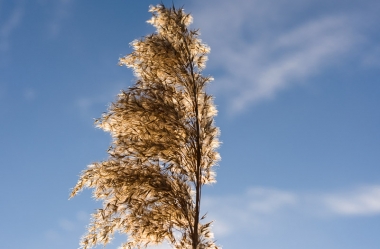 Ein sonniger Wintertag im Januar