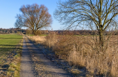 Ein sonniger Wintertag im Januar