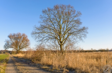 Ein sonniger Wintertag im Januar