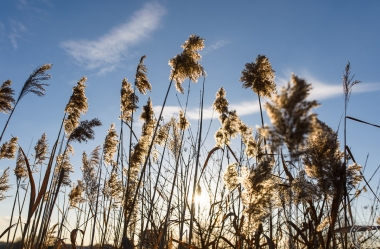 Ein sonniger Wintertag im Januar