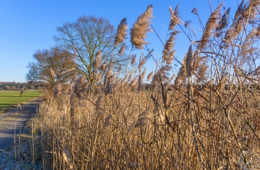 Ein sonniger Wintertag im Januar