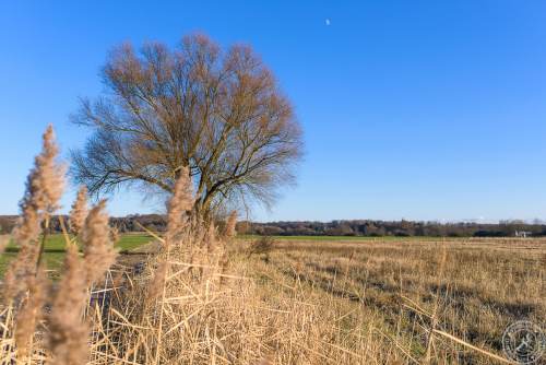 Ein sonniger Wintertag im Januar