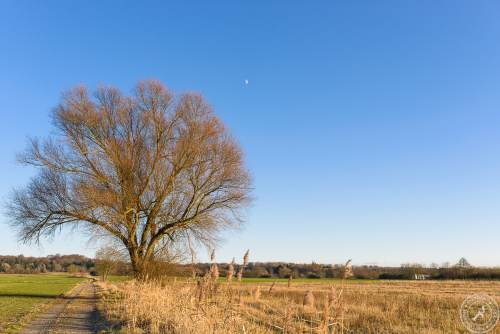 Ein sonniger Wintertag im Januar