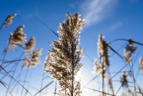 Ein sonniger Wintertag im Januar