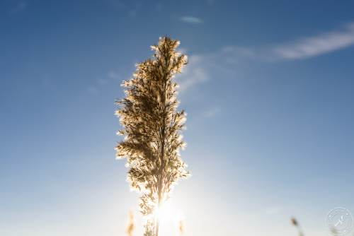 Ein sonniger Wintertag im Januar