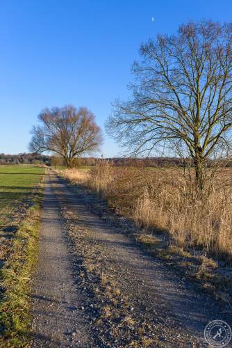 Ein sonniger Wintertag im Januar