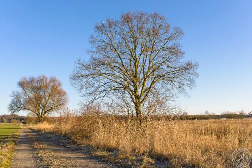 Ein sonniger Wintertag im Januar