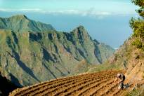 The Anaga Mountain (4).JPG