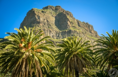 The masca trail