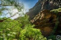The masca trail