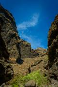 The masca trail